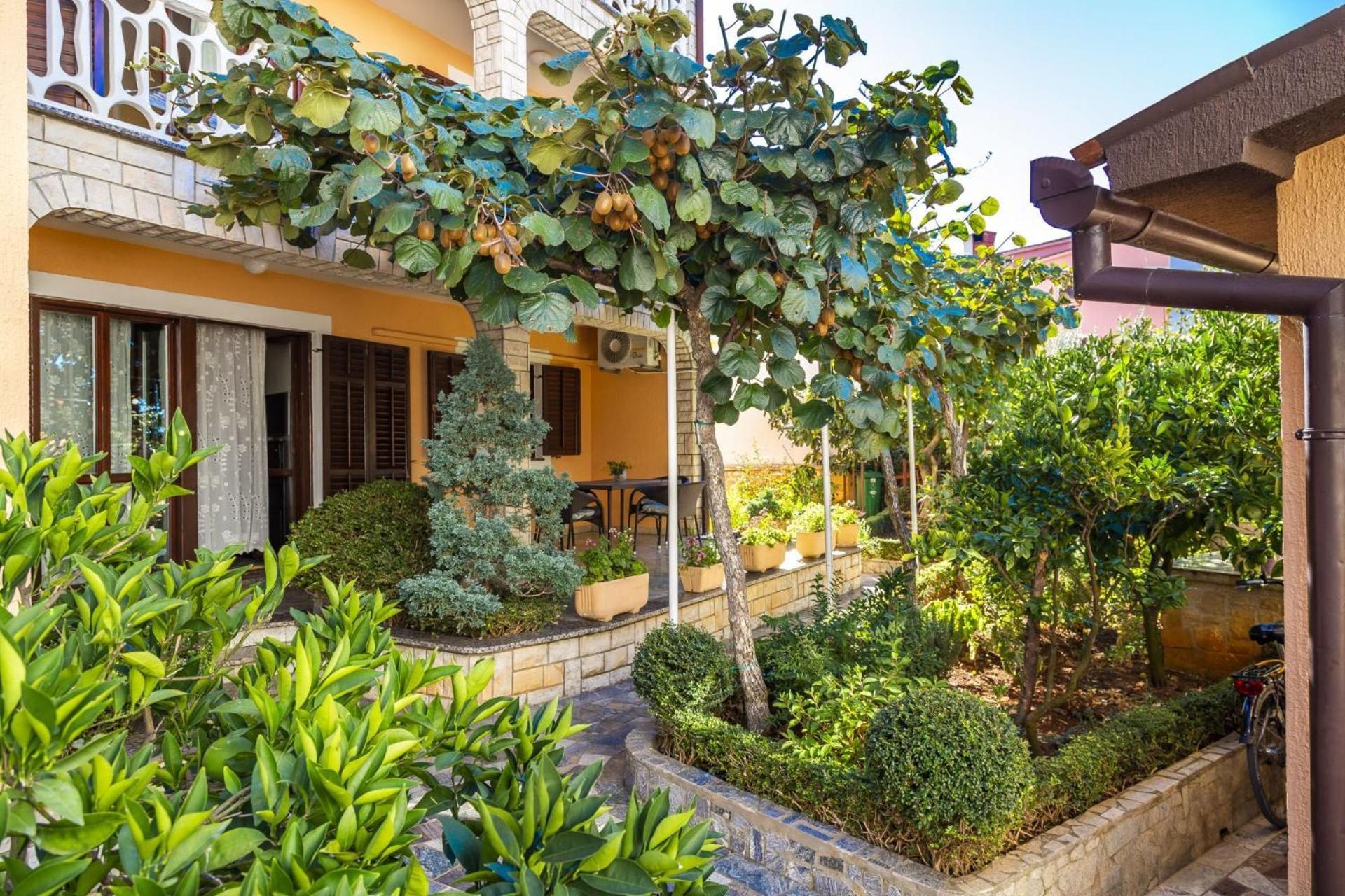 Apartments Mir Фажана Екстер'єр фото